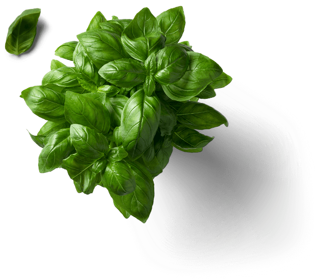 Vynikajúce zdravé meníčko